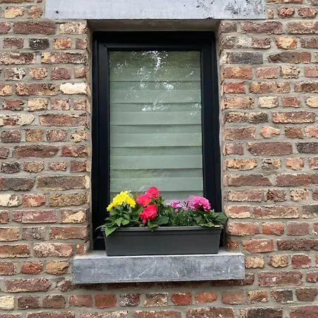 Au Moulin Endormi 9 Personnes Semesterbostad Olne