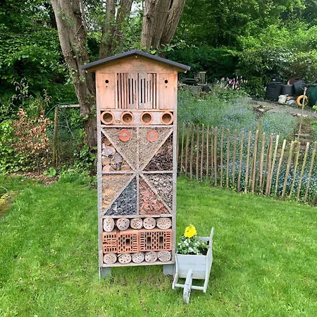 Au Moulin Endormi 9 Personnes Semesterbostad *
