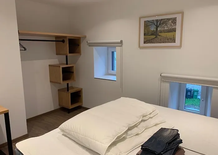 Au Moulin Endormi 8 Personnes Hébergement de vacances Olne